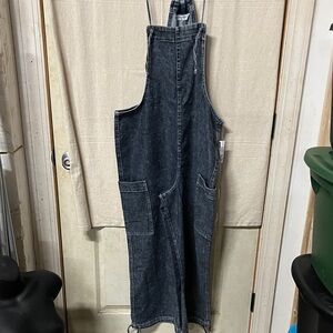 Vanilla Star Blue Denim Overalls